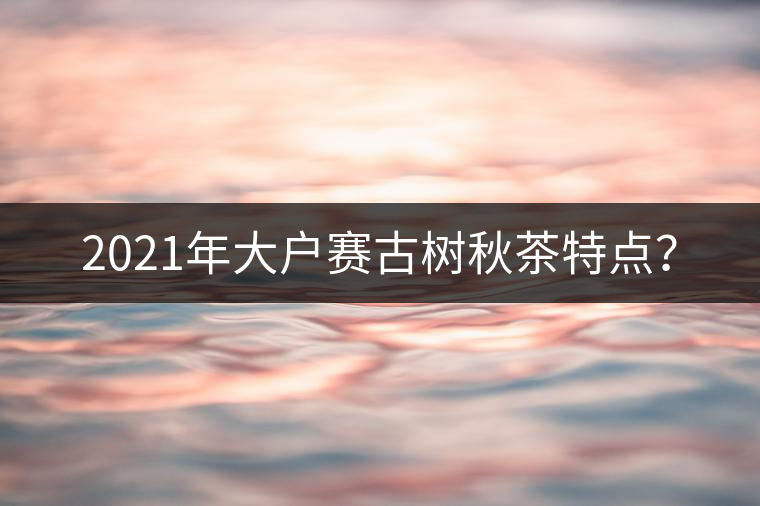 2021年大戶賽古樹秋茶特點(diǎn)？