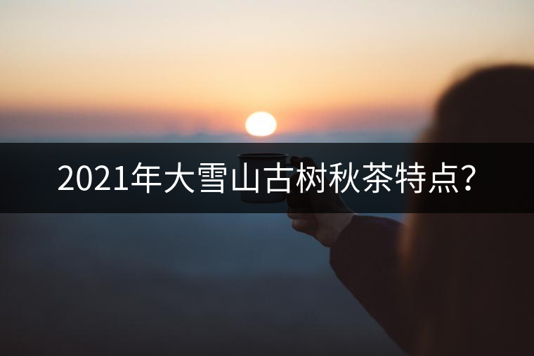 2021年大雪山古樹秋茶特點(diǎn)？