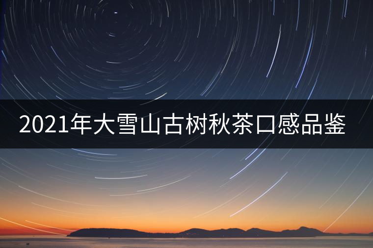 2021年大雪山古樹秋茶口感品鑒？