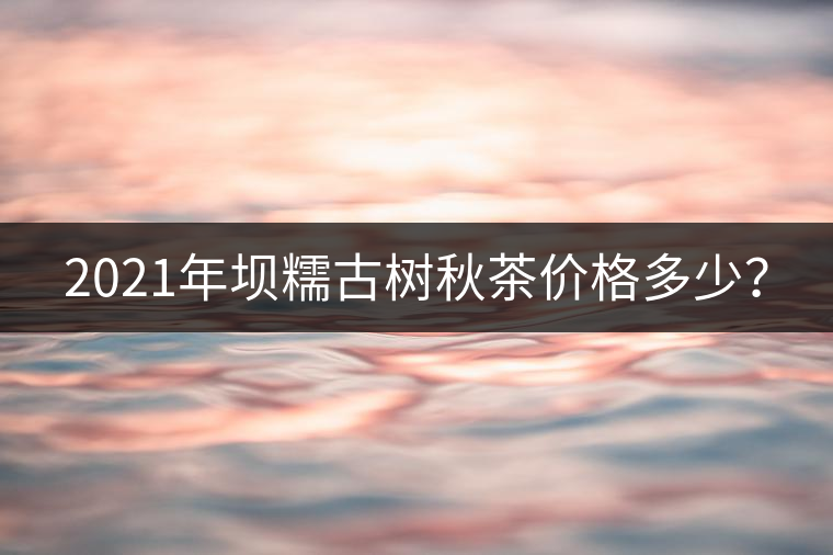 2021年壩糯古樹秋茶價格多少？