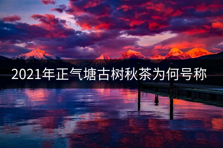 2021年正氣塘古樹秋茶為何號稱小冰島？