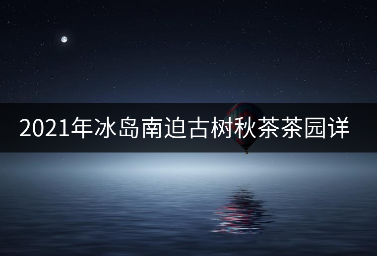 2021年冰島南迫古樹(shù)秋茶茶園詳解！