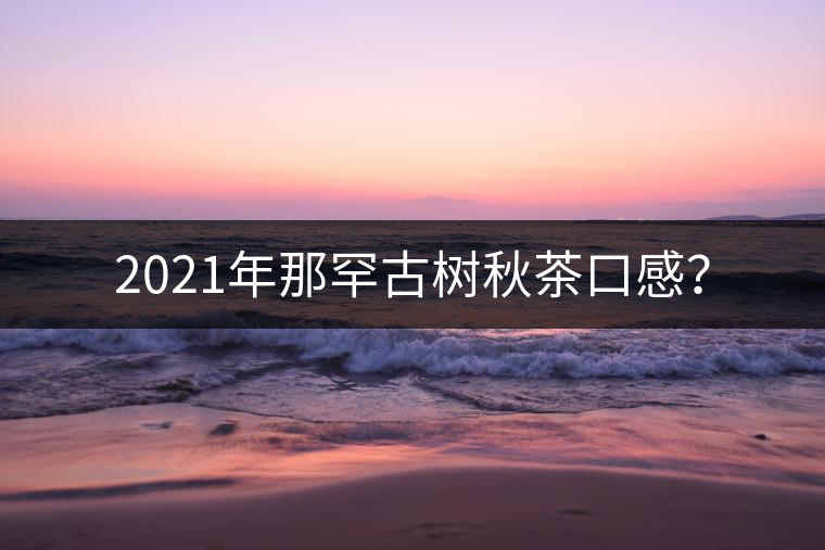 2021年那罕古樹(shù)秋茶口感？