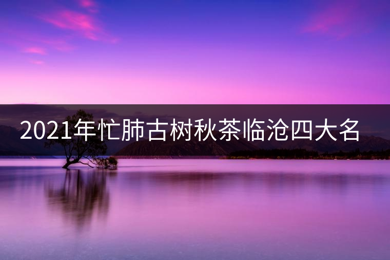2021年忙肺古樹(shù)秋茶臨滄四大名茶之一! 2021年忙肺古樹(shù)秋茶臨滄四大名茶之一!