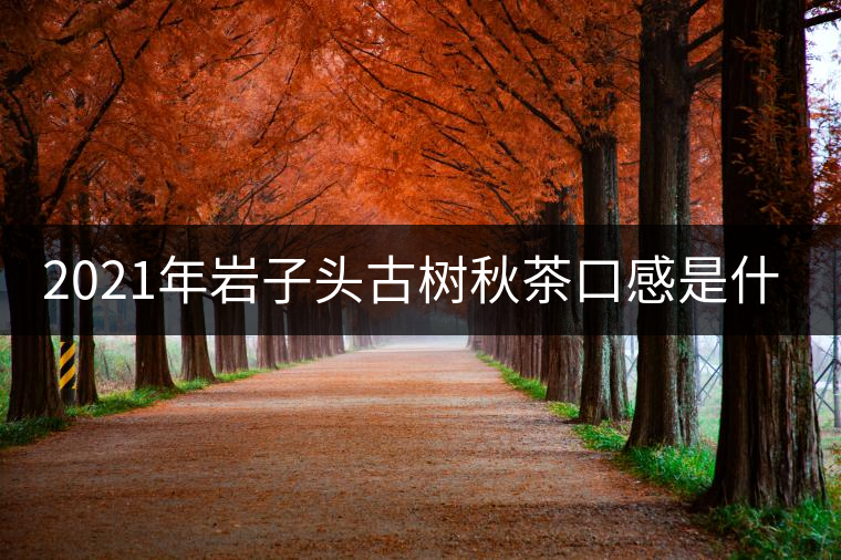 2021年巖子頭古樹秋茶口感是什么？