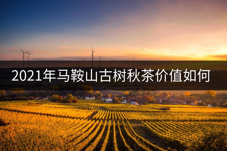2021年馬鞍山古樹秋茶價值如何？