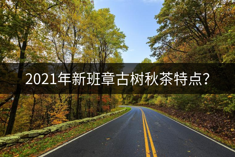 2021年新班章古樹秋茶特點(diǎn)？