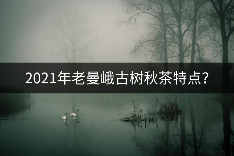 2021年老曼峨古樹秋茶特點？