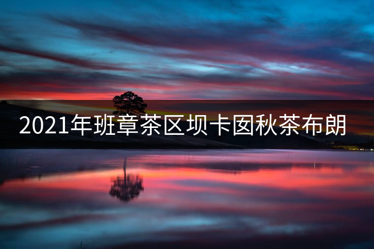 2021年班章茶區(qū)壩卡囡秋茶布朗茶系中的甜茶類！