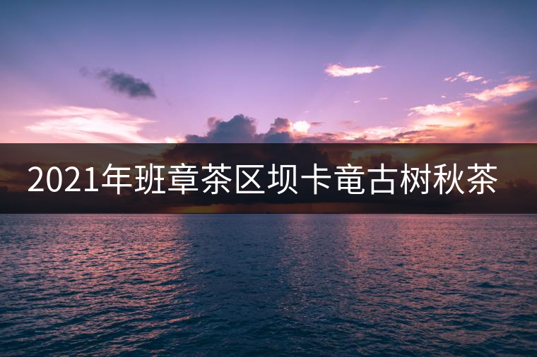 2021年班章茶區(qū)壩卡竜古樹秋茶多少錢一公斤？