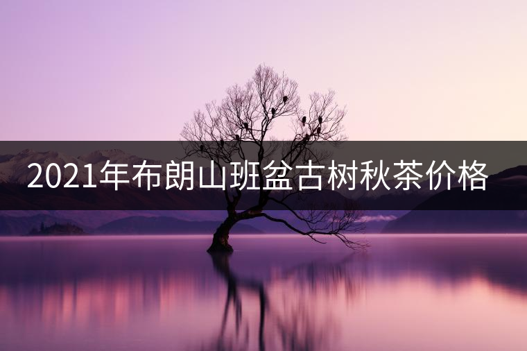 2021年布朗山班盆古樹(shù)秋茶價(jià)格？