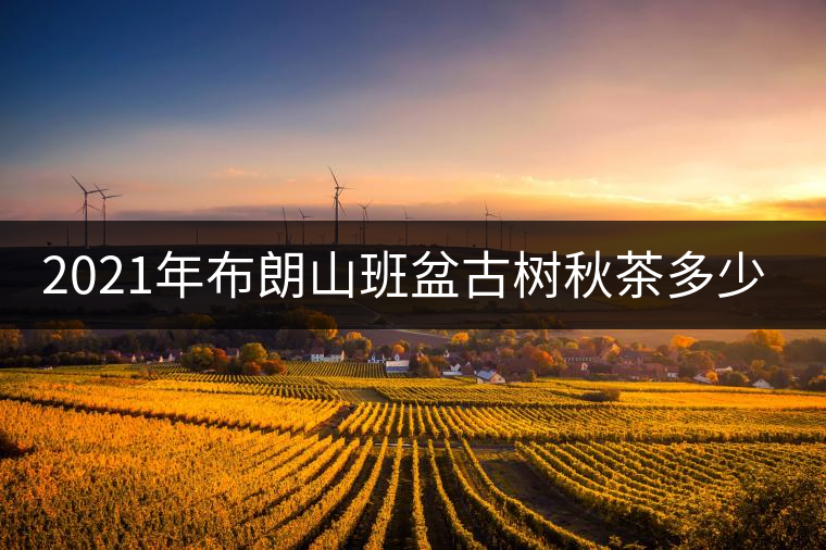 2021年布朗山班盆古樹(shù)秋茶多少錢一公斤？