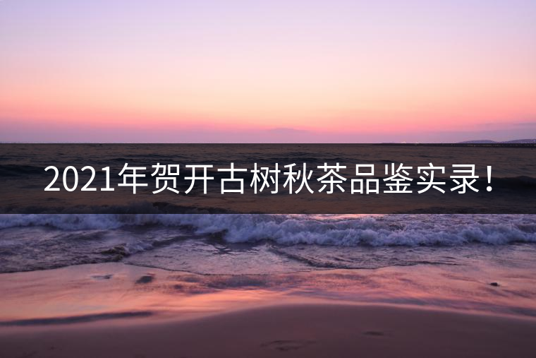 2021年賀開古樹秋茶品鑒實(shí)錄! 2021年賀開古樹秋茶品鑒實(shí)錄!