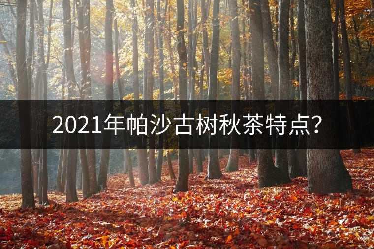 2021年帕沙古樹秋茶特點(diǎn)？