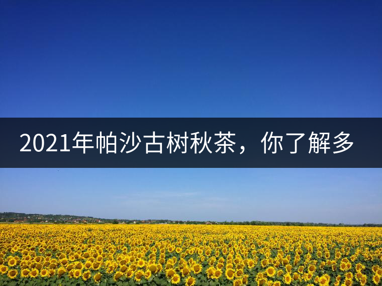 2021年帕沙古樹(shù)秋茶，你了解多少？