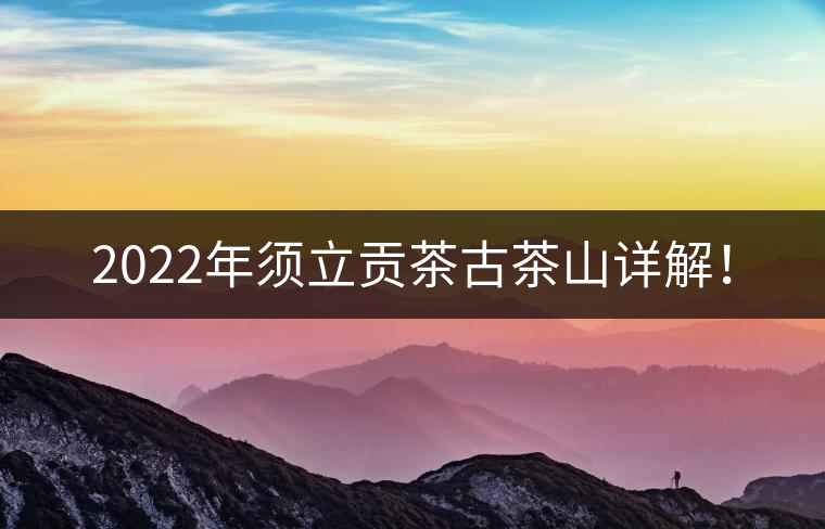 2022年須立貢茶古茶山詳解！