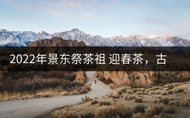 2022年景東祭茶祖 迎春茶,古樹春茶多少錢一公斤? 2022年景東祭茶祖 迎春茶,古樹春茶多少錢一公斤?