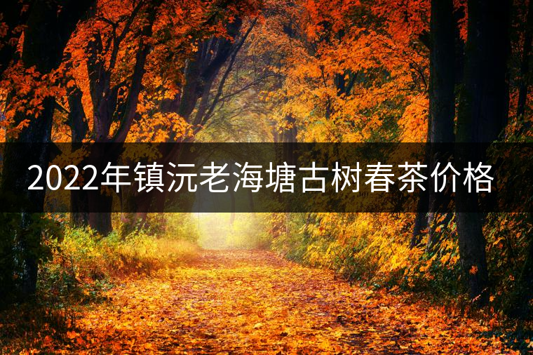 2022年鎮(zhèn)沅老海塘古樹春茶價格？