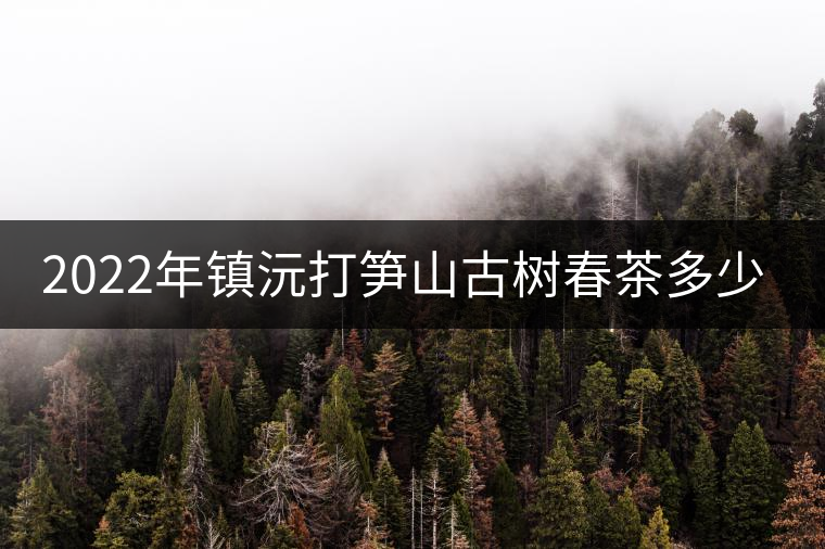 2022年鎮(zhèn)沅打筍山古樹春茶多少錢一公斤？