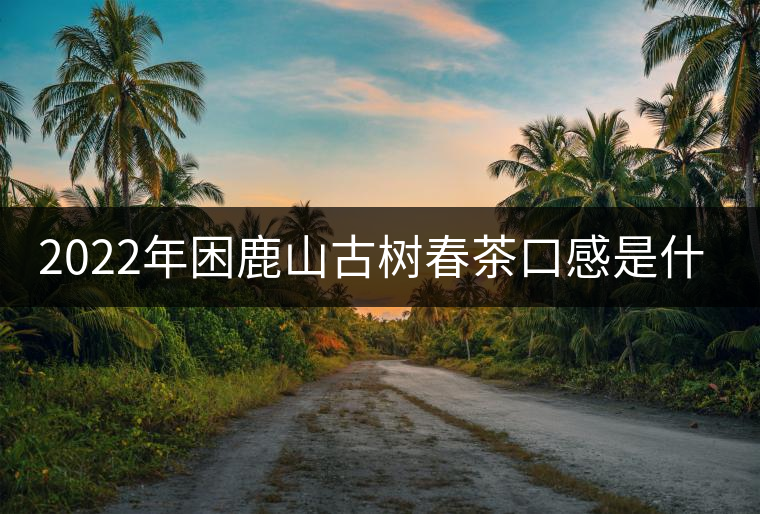 2022年困鹿山古樹春茶口感是什么？