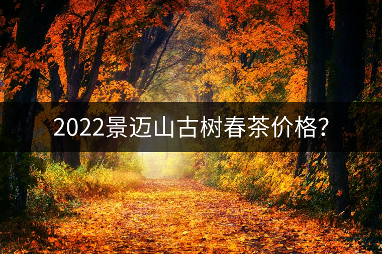 2022景邁山古樹春茶價(jià)格？