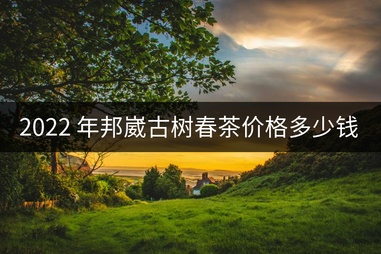 2022 年邦崴古樹春茶價格多少錢一公斤？