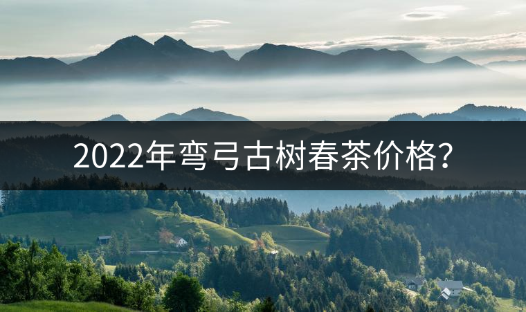 2022年彎弓古樹春茶價格？