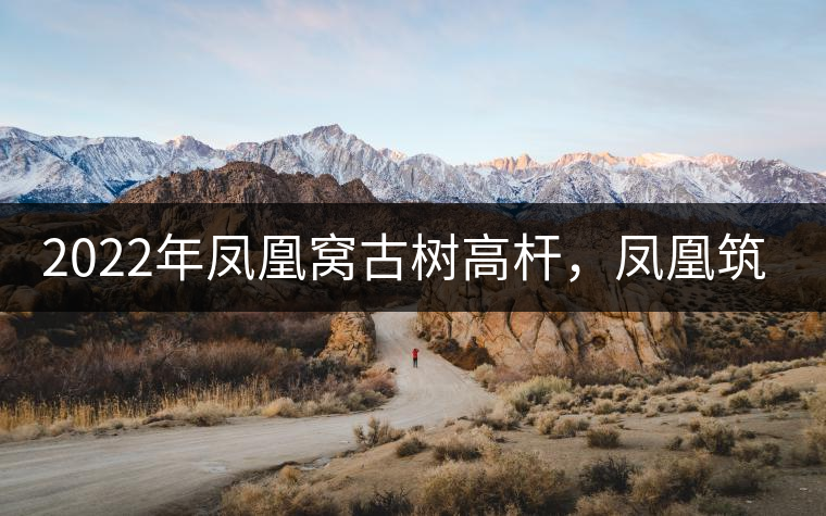 2022年鳳凰窩古樹高桿，鳳凰筑巢的地方