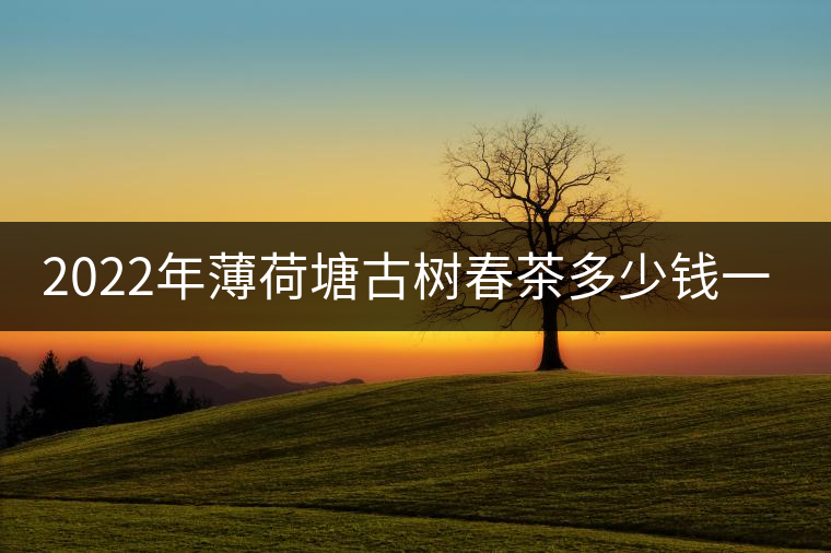 2022年薄荷塘古樹春茶多少錢一公斤？