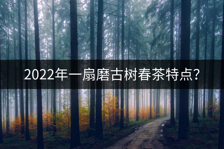 2022年一扇磨古樹春茶特點(diǎn)？