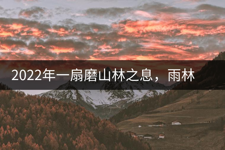 2022年一扇磨山林之息，雨林之味，原始之態(tài)