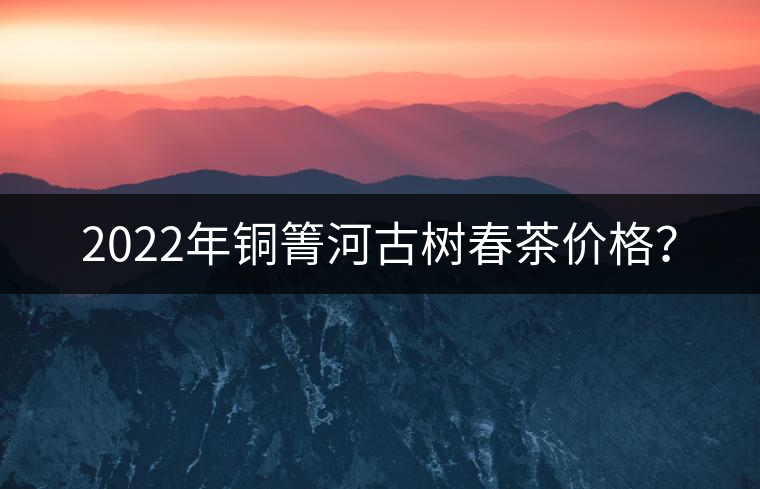 2022年銅箐河古樹春茶價格？