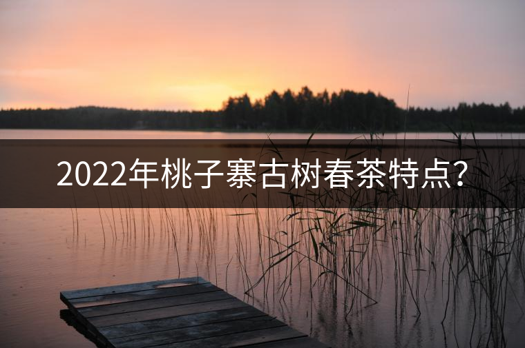 2022年桃子寨古樹春茶特點？