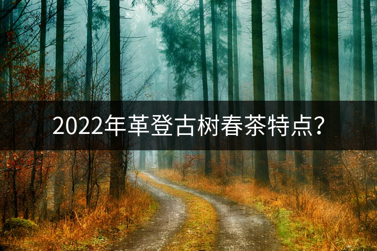 2022年革登古樹春茶特點(diǎn)？