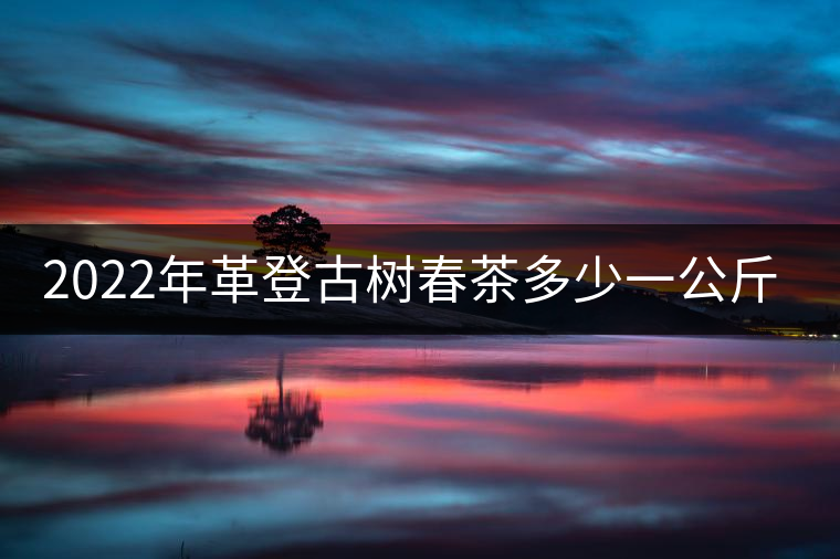 2022年革登古樹春茶多少一公斤？