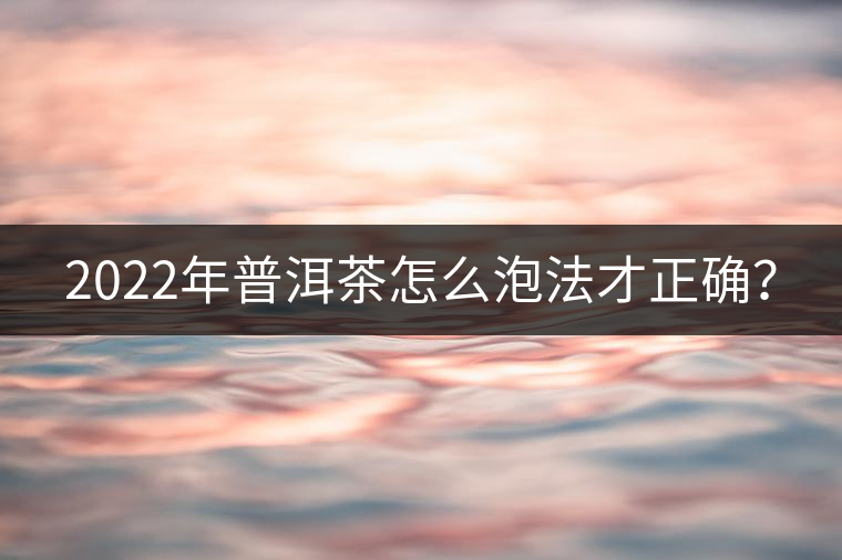 2022年普洱茶怎么泡法才正確？