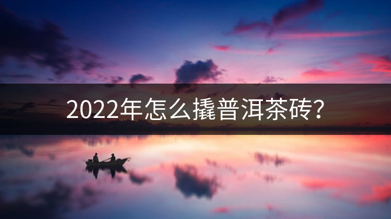 2022年怎么撬普洱茶磚？