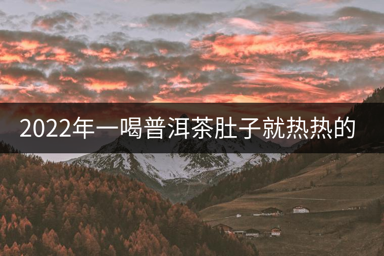 2022年一喝普洱茶肚子就熱熱的怎么回事？