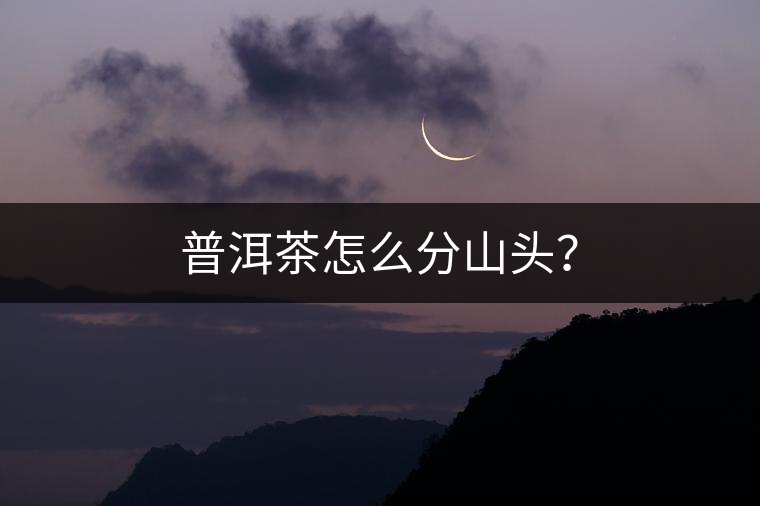 普洱茶怎么分山頭？