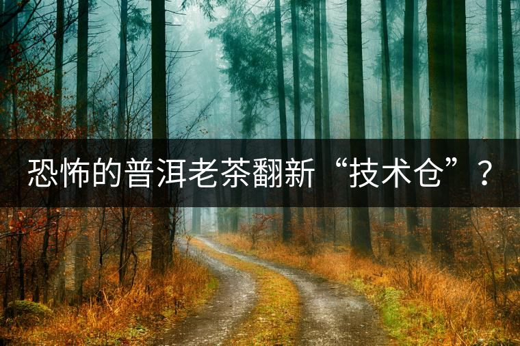 恐怖的普洱老茶翻新“技術倉”？