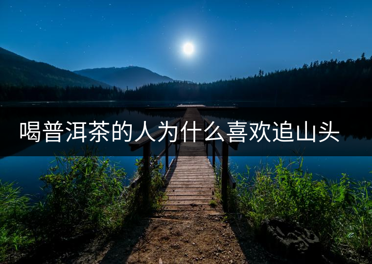 喝普洱茶的人為什么喜歡追山頭？無非就是這幾個原因