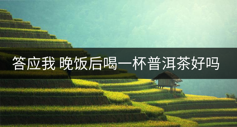 答應(yīng)我 晚飯后喝一杯普洱茶好嗎？