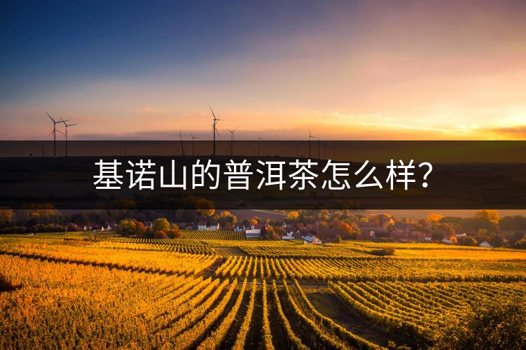 基諾山的普洱茶怎么樣？