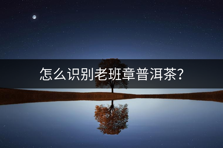 怎么識(shí)別老班章普洱茶？
