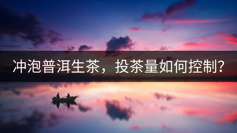 沖泡普洱生茶，投茶量如何控制？