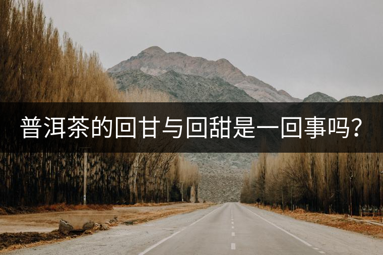 普洱茶的回甘與回甜是一回事嗎？？