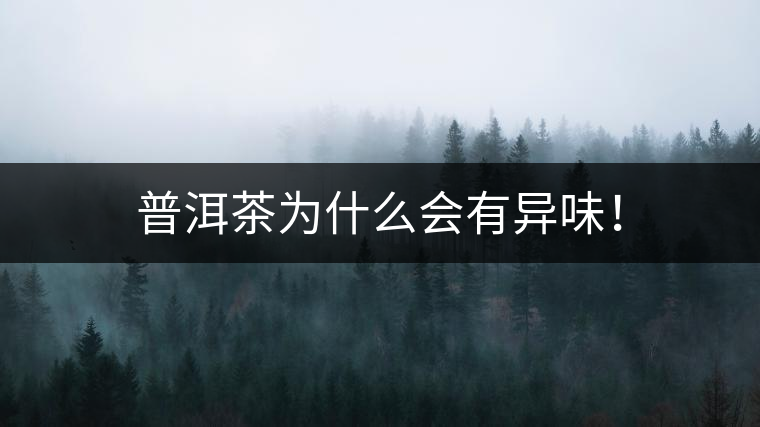 普洱茶為什么會有異味！