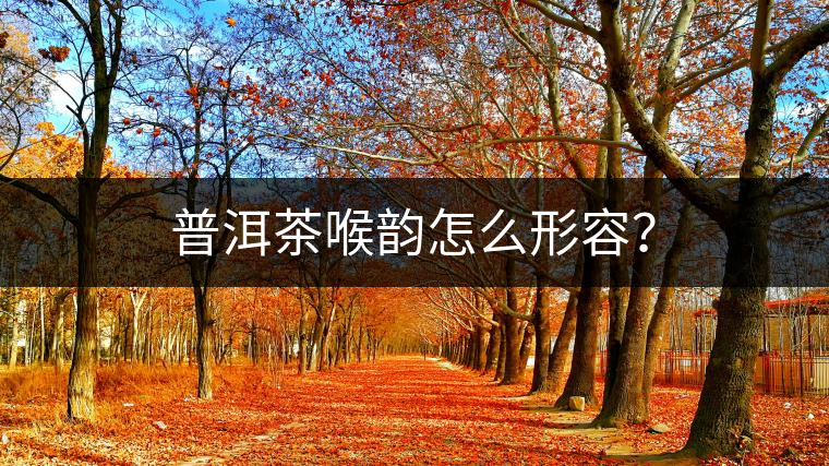 普洱茶喉韻怎么形容？