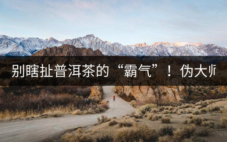 別瞎扯普洱茶的“霸氣”！偽大師！