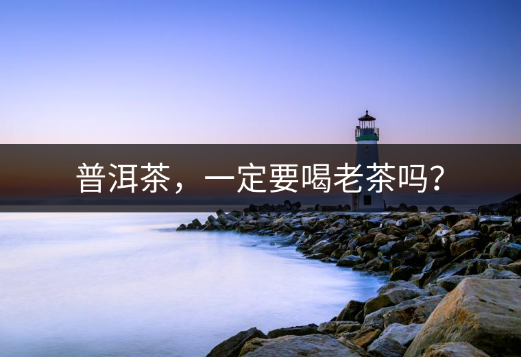 普洱茶，一定要喝老茶嗎？